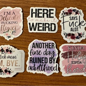 Cute Sweary Stickers Pack B| Adult humor| Laptop Sticker| Car Decal| Sassy Décor| Creative Stickers| Swear Words| Sticker Set
