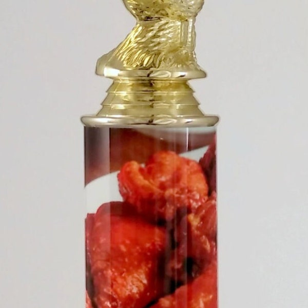 Hot Wing Chicken Custom Column Trophy