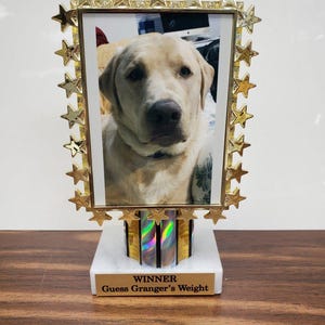 Pet Photo Trophy