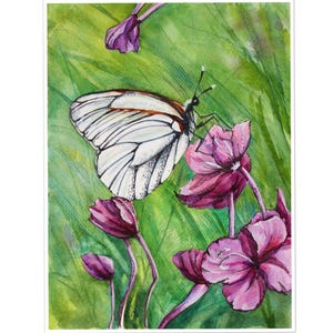 Aquarell Schmetterlinge und rosa Blumen: Botanische Illustration (18,5x24,5 cm)