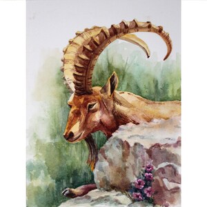 Capra nella roccia Dipinto originale ad acquerello Fiori di montagna Stambecco in paesaggio estivo Fauna selvatica africana Regalo per gli amanti degli animali