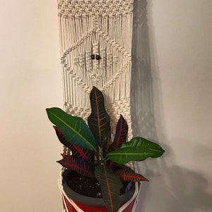 Peut inclure: Un porte-plante en macramé blanc avec un pot rouge et une plante verte aux feuilles rouges et vertes.