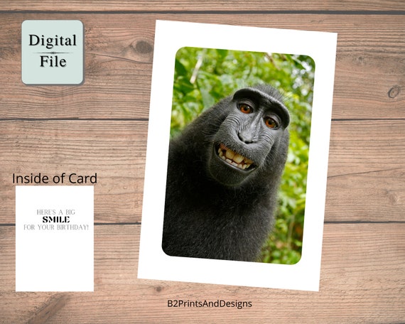 Buy Funny Foldable Birthday Card Digital Download Birthday Online in India - Etsy Buy Funny Foldable Birthday Card Digital Download Birthday Online in India - Etsy