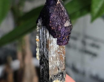 May include: A black and silver crystal with a purple fluorite crystal on top. The crystals are on a white display stand.