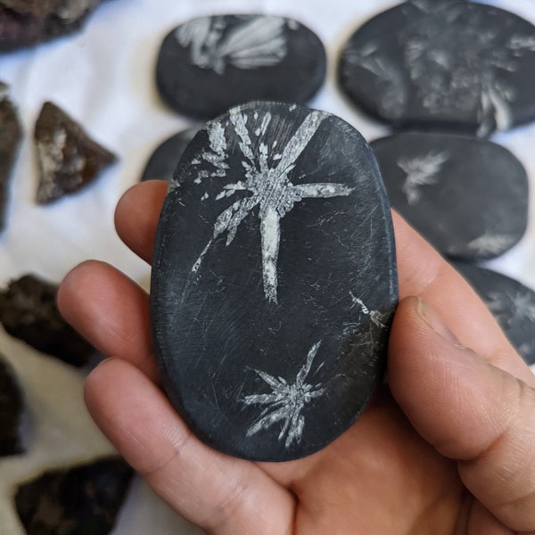 Beautiful Chrysanthemum Palm Stones, aka Flower Stones (you choose)