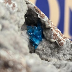 Blue Cavansite Crystals on Matrix - Wagholi Quarries, Pune India (140g)