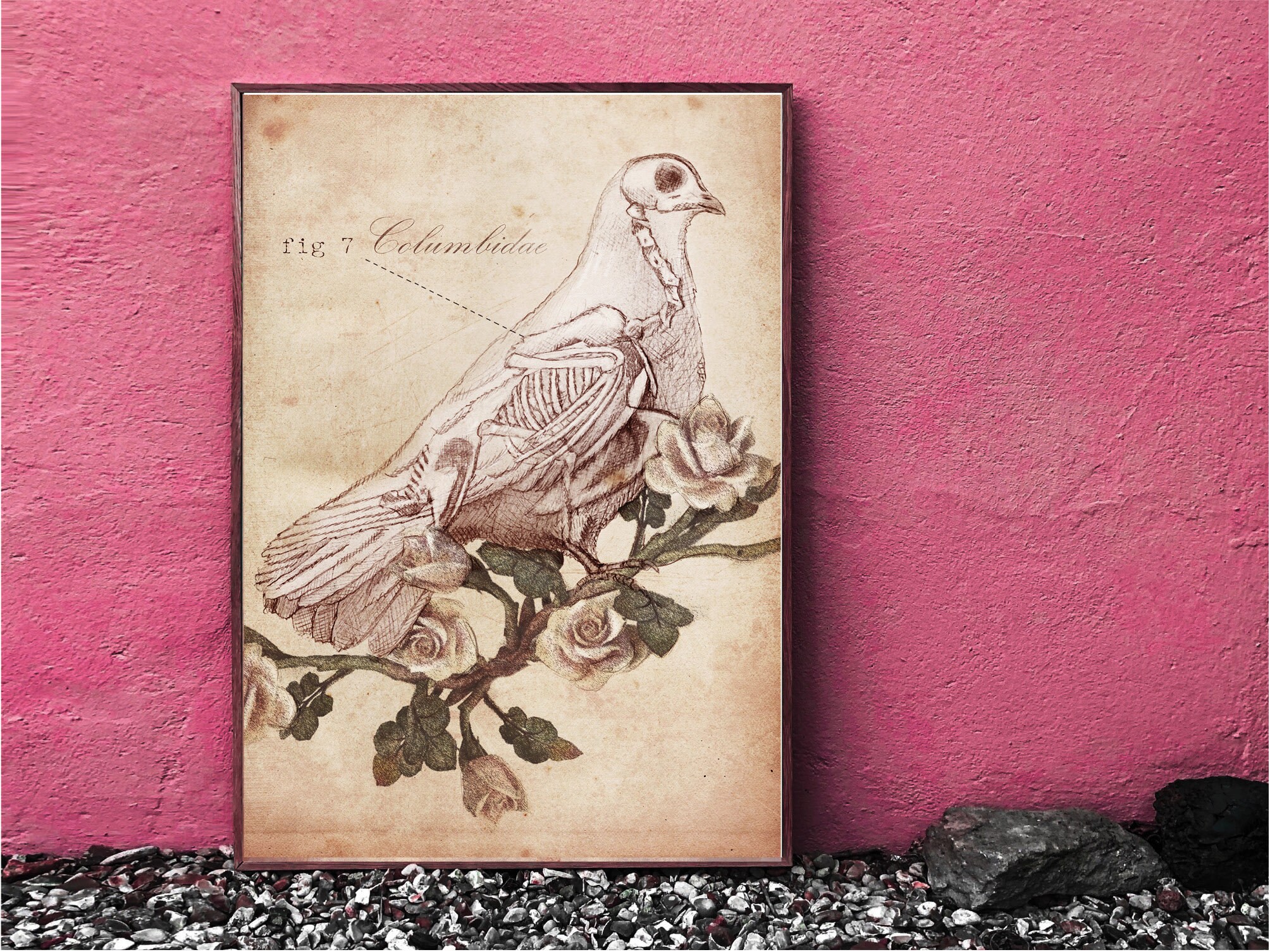 Anatomical Dove Skeleton Print Gothic Wall Art. Skeleton - Etsy