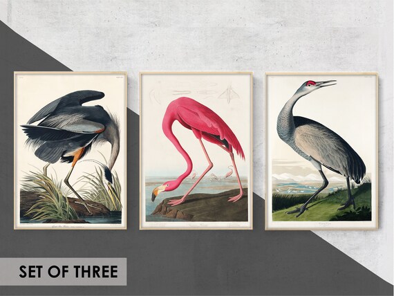 Antique Replica Heron and Stork Art Print Antique Replica Heron and Stork Art Print