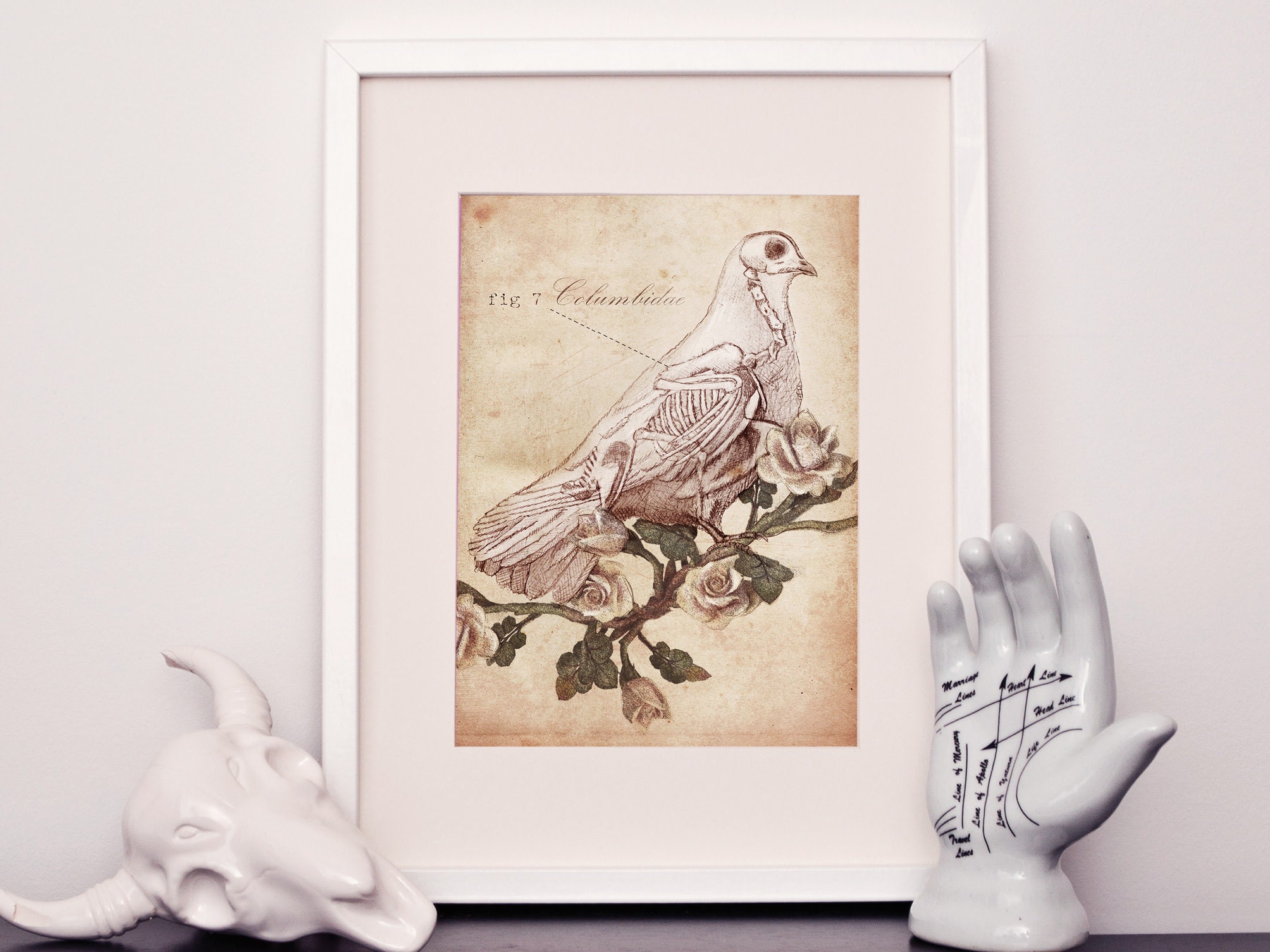 Anatomical Dove Skeleton Print Gothic Wall Art. Skeleton - Etsy