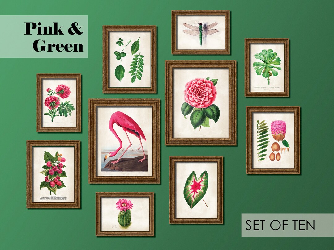 Set of 10 Botanical Prints in Pink and Green Antique Reproduction Print