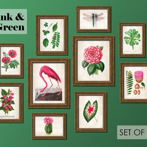 Set of 10 Botanical Prints in Pink and Green | Antique Reproduction Print, Pink and Green Wall Art, Green Wall, Botany Art, Tropical #MS4