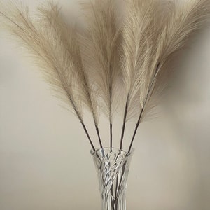 Tall Artificial Pampas Grass-Decorative Fluffy Faux Plants for Wedding and Boho Home Decor Bunch (Beige-Cream-83cm 5 Stems) (110cm 3stems)