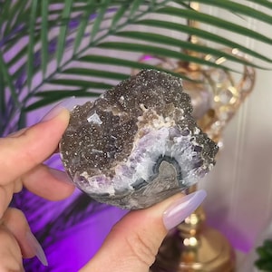 Rare High Quality Sugar Amethyst Cluster