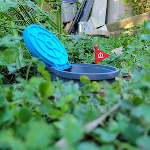 Pikmin 4 Tubo e bandiera