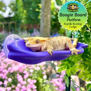 ブギーボード - ヤモリ爬虫類用棚 - 登ったり休んだりできる - 3Dプリント - Laguna Reptiles