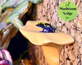 Mushroom Ledge (Mini) - Reptile Decor - Laguna Reptiles