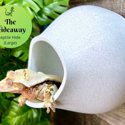 Hideyhole medium Gecko Reptile Hide 3D Printed Laguna Etsy Singapore