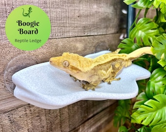 Boogie Board - Gecko Reptile Ledge - Climbing or Resting - 3D Printed - Laguna Reptiles