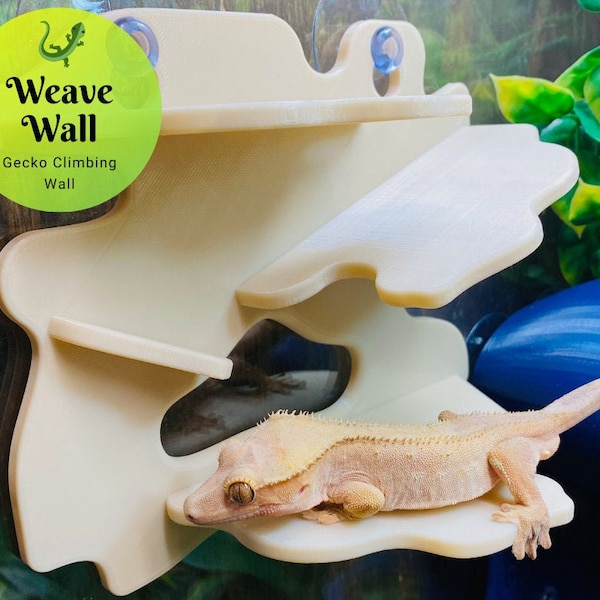 Weave Wall - Gecko Climbing Wall - Laguna Reptiles