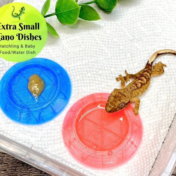 Extra Small Nano Reptile Food and Water Reptile Dish - Hatchling & Baby Size  - Laguna Reptiles