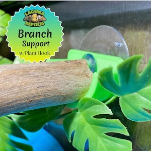 Suportes para galhos com gancho para plantas - 2 suportes por pacote - Laguna Reptiles