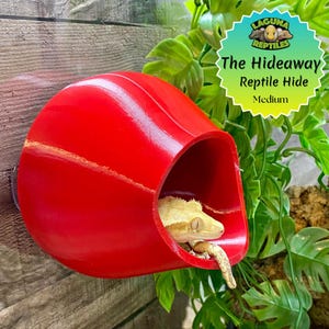 The Hideaway (médio) - Pele de réptil de lagartixa - Impressão 3D - Laguna Reptiles