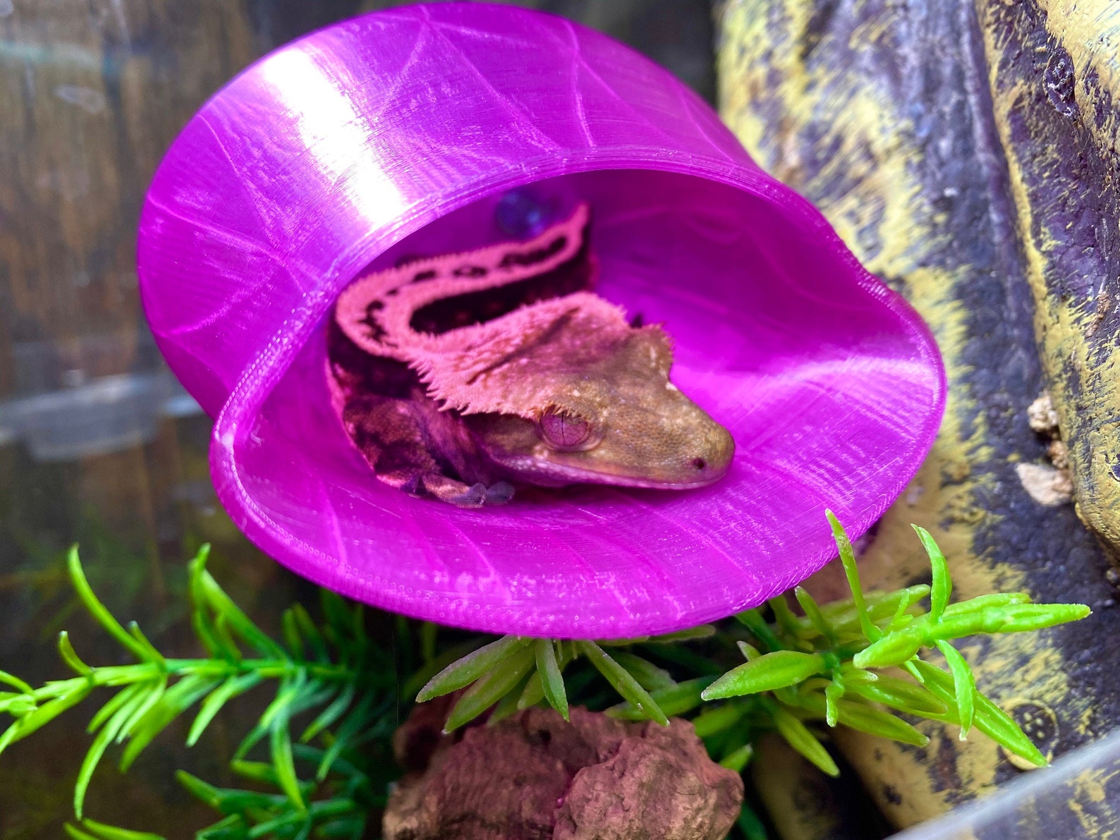 Hideyhole small Gecko Reptile Hide 3D Printed Laguna Etsy