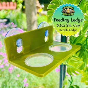 0.5oz Dual Cup Suction Cup Feeding Ledge - Laguna Reptiles - Reptile Feeding Ledge