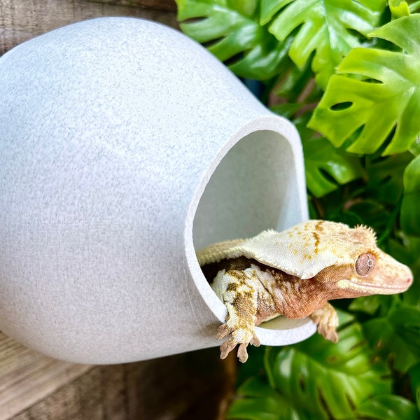 The Hideaway (Large) - Gecko Reptile Hide - 3D Printed - Laguna Reptiles