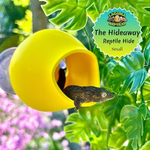 The Hideaway (Klein) - Gecko Reptilienhaut - 3D Gedruckt - Laguna Reptiles