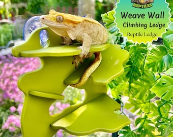 Weave Wall - Gecko Climbing Wall - Laguna Reptiles