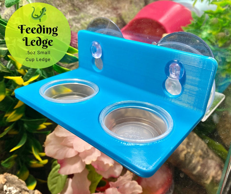 0.5oz Dual Cup Suction Cup Feeding Ledge - Laguna Reptiles - Reptile …
