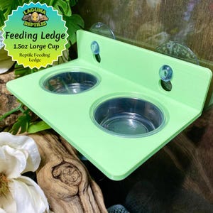 1,5 Unzen große Tasse Futterleiste - Laguna Reptiles - Gecko Futterleiste