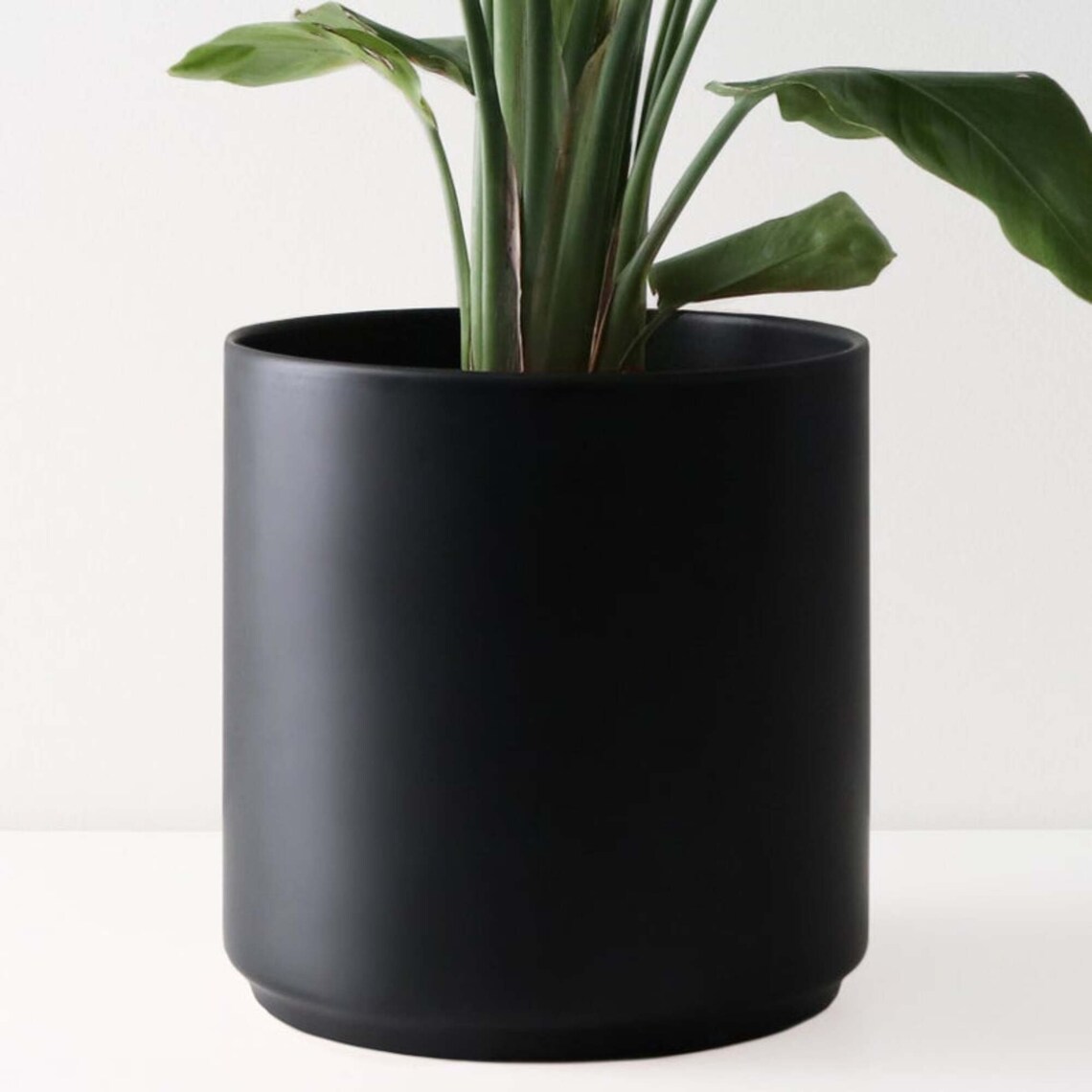 Black Plant Pot Indoor