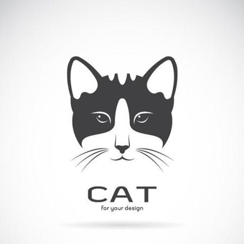 Etsy profile picture for @perulate
