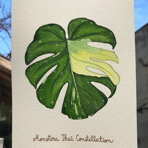 Monstera Thai Constellation Leaf Painting, regalo per gli amanti delle piante da appartamento, foglie a forma di cuore