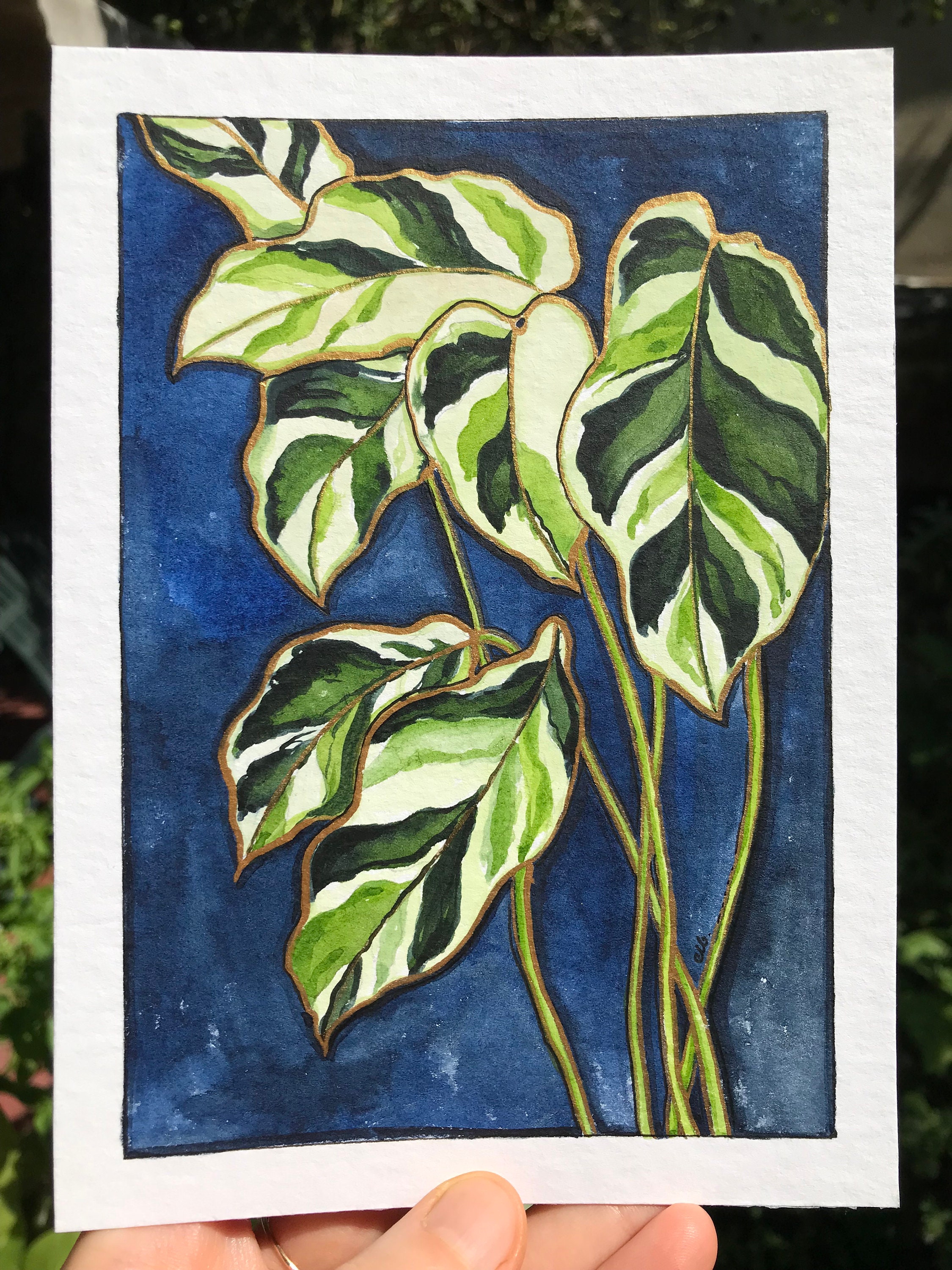 Calathea Painting - Etsy UK