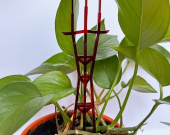 Sutro Tower plant stake