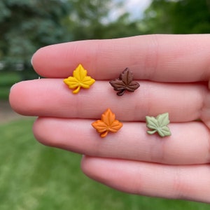 May include: Four small plastic maple leaf buttons in different colors: yellow, orange, brown, and green. The buttons are arranged on a hand.