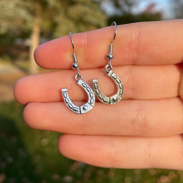 Roped in Horseshoe Earrings main image 1