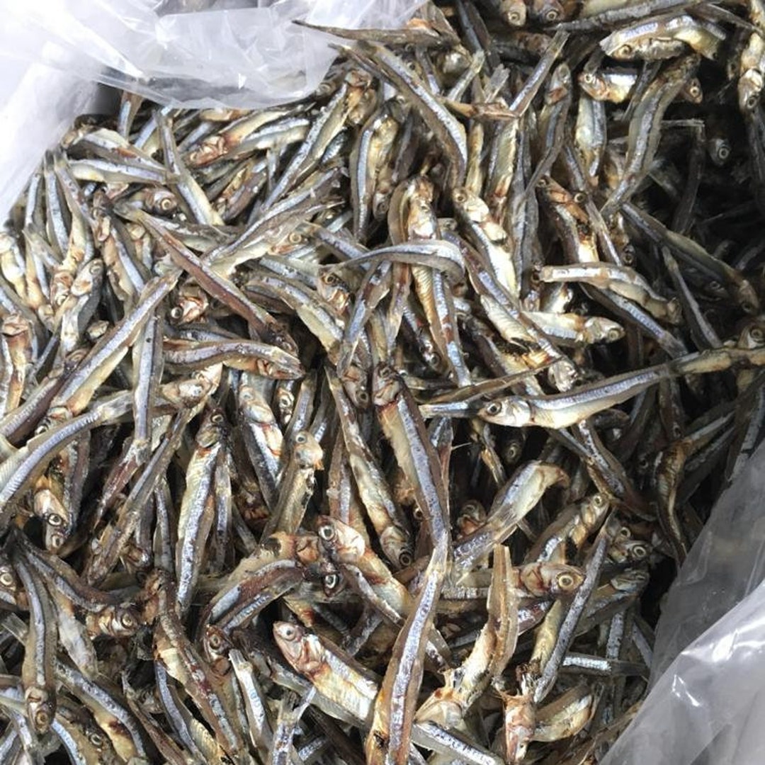 Dry Fish Anchovies Sun Dried Seafood Best Quality Sri Lanka Etsy