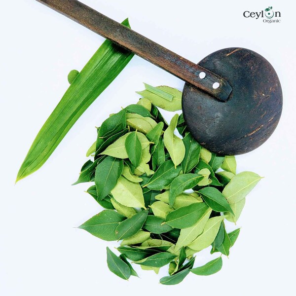 500g+  Dried Curry Leaves - Organic, Freshly Harvested, Authentic Ceylon Spices | Ceylon Organic