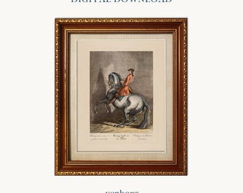 Vintage Horse & Rider Illustration | Equestrian Wall Art (Digital Download)
