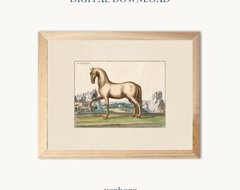 Vintage Horse Illustration Art Print | Neutral Gallery Wall (Digital Download)