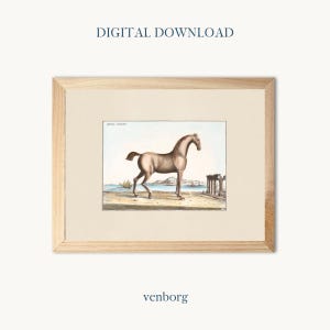 The English Horse | Vintage Horse Illustration Wall Art | Neutral Wall Decor | Gallery Wall Prints | INSTANT DIGITAL DOWNLOAD