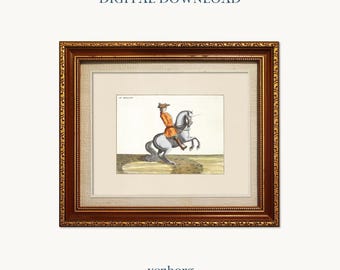 Vintage Horse Rider Illustration Print | French Equestrian Art (Digital Download)
