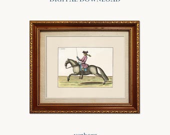 Vintage Horse Rider Illustration | French Wall Art (Digital Download)