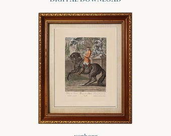 Vintage Horse & Rider Illustration Art Print | Equestrian Decor (Digital Download)