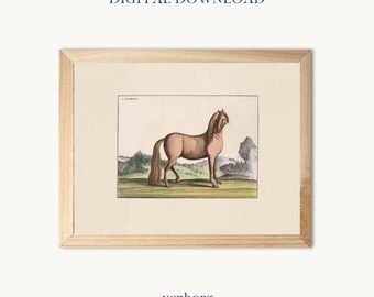 Vintage Horse Illustration Art Print | Neutral Gallery Wall (Digital Download)