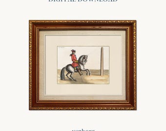 Vintage Horse Rider Illustration | French Equestrian Art (Digital Download)